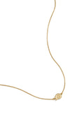 Collier avec petit coquillage en spirale acier inoxydable