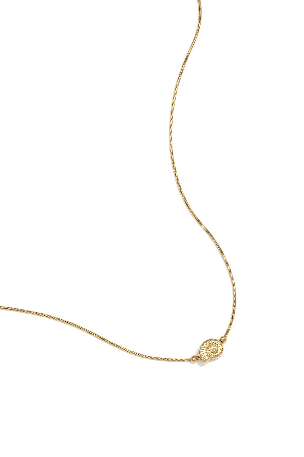 Collier avec petit coquillage en spirale acier inoxydable