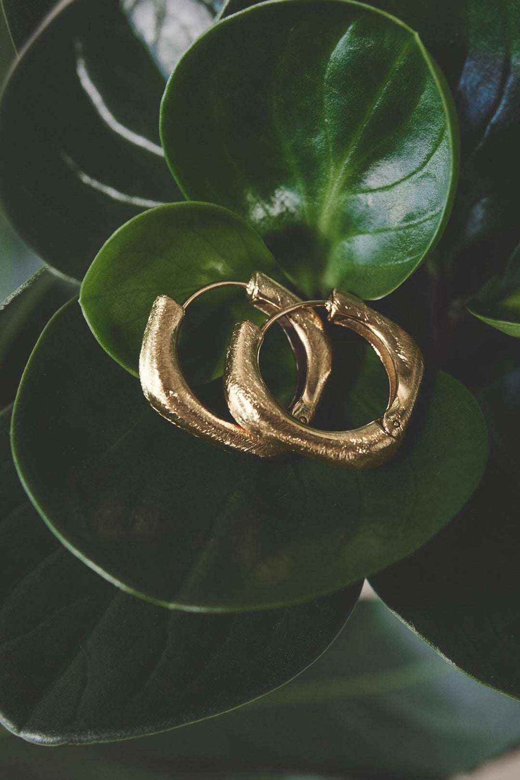 Boucles d'Oreilles Créoles Carrées Bords Arrondis - Acier Inoxydable Géométrique & Statement Femme
