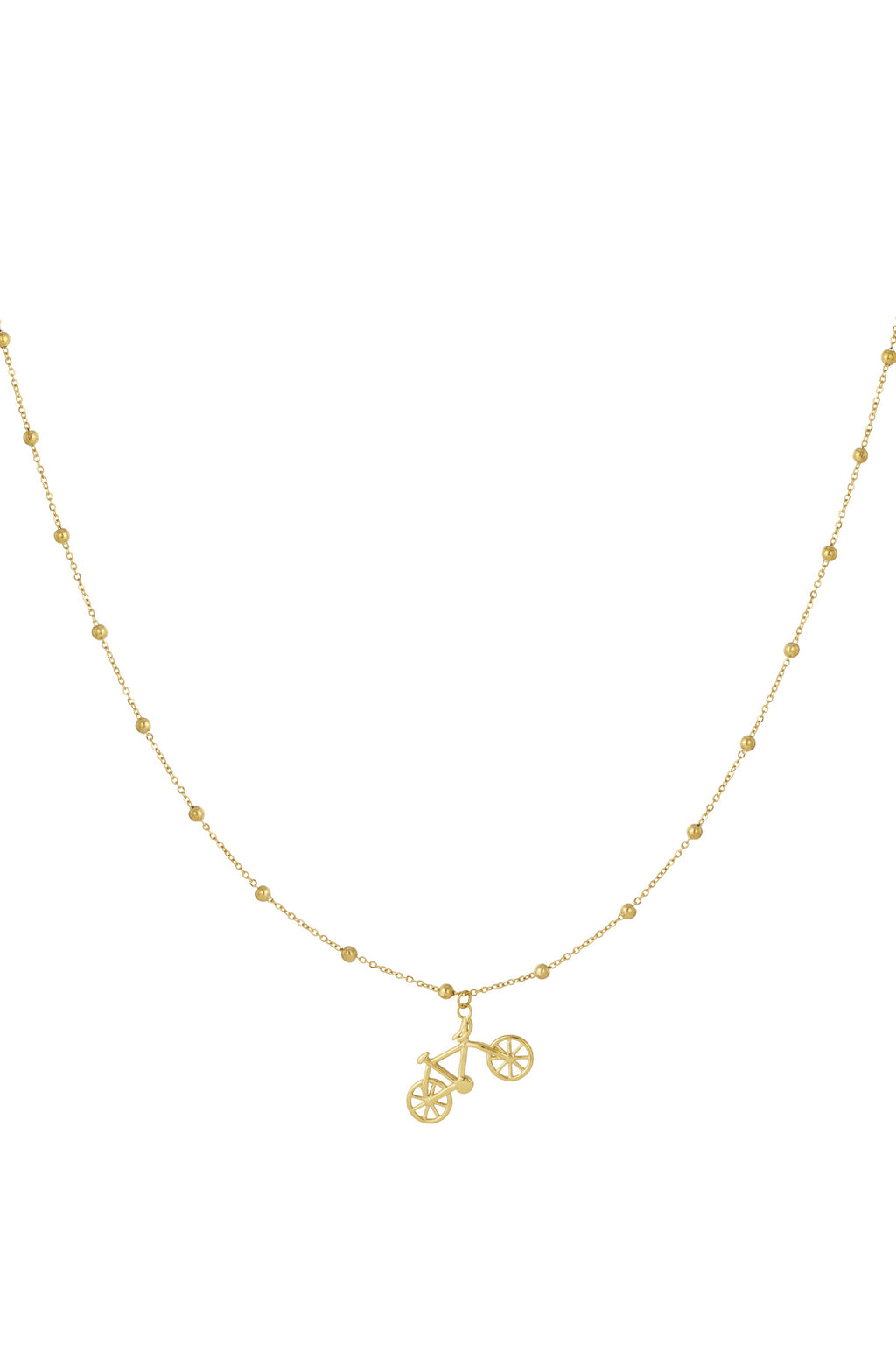 Collier Wanderlust acier inoxydable